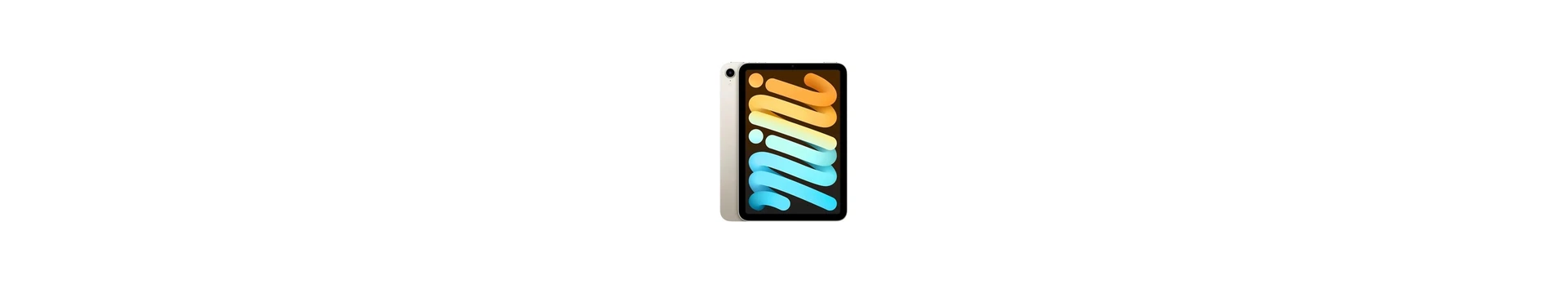 iPad mini 6