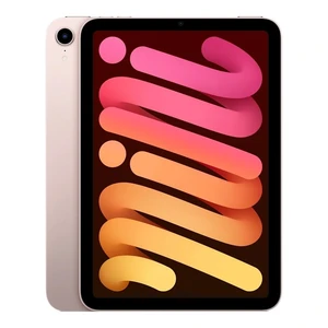 iPad mini