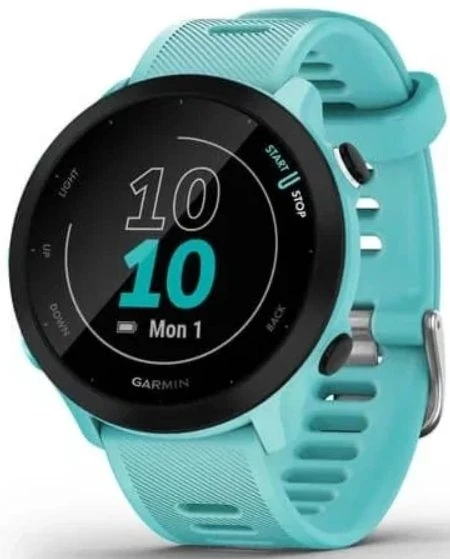 Умные часы Garmin Forerunner 55 42 мм аква
