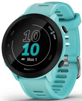 Умные часы Garmin Forerunner 55 42 мм аква